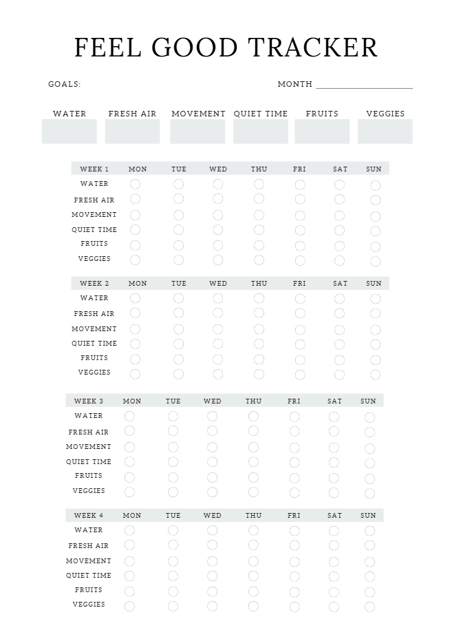 Law of Attraction Planner